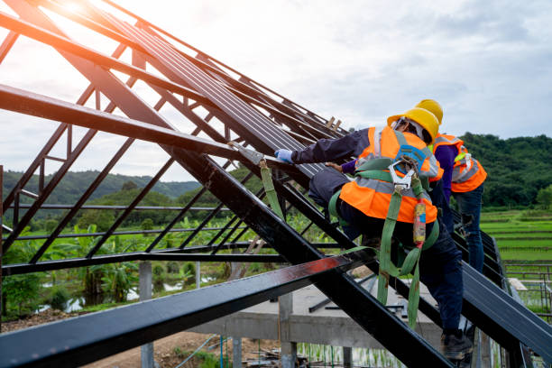 Best Flat Roof Repair Services  in Holdrege, NE