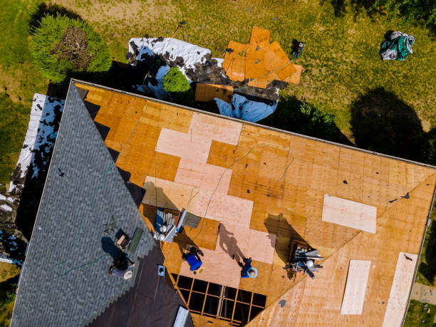 Best Flat Roof Repair Services  in Holdrege, NE